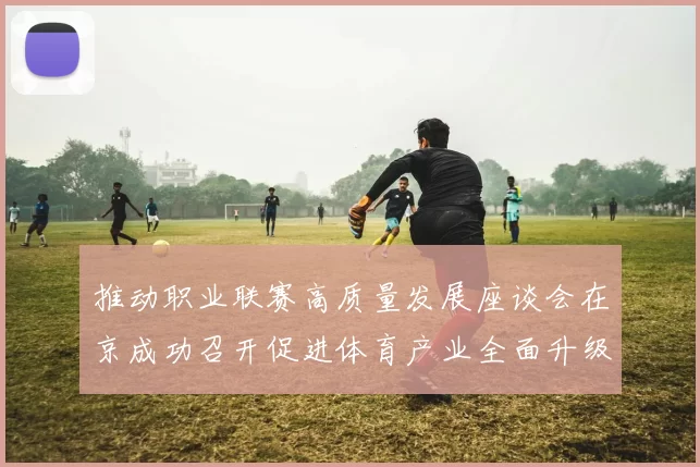 推动职业联赛高质量发展座谈会在京成功召开促进体育产业全面升级与创新发展