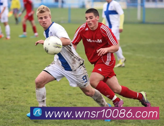 新威尼斯人服务体系